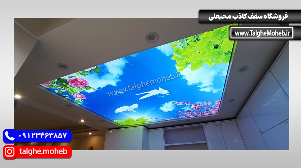 Virtual Sky 1