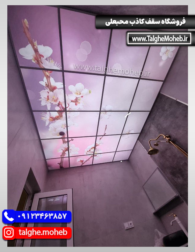 Virtual Sky 10