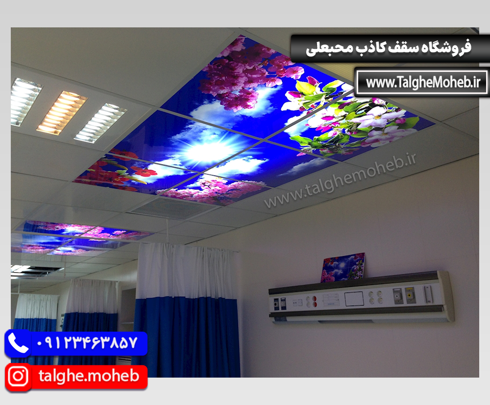 Virtual Sky 13