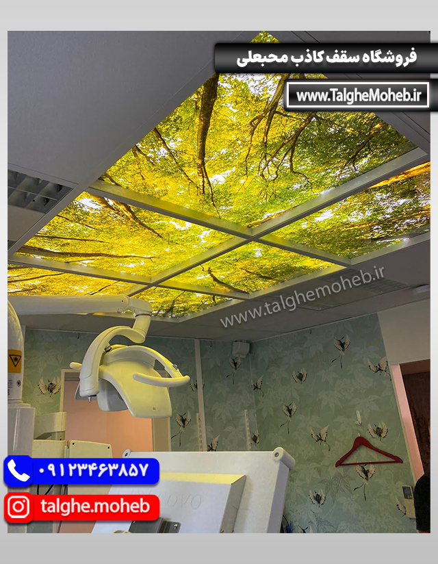 Virtual Sky 14