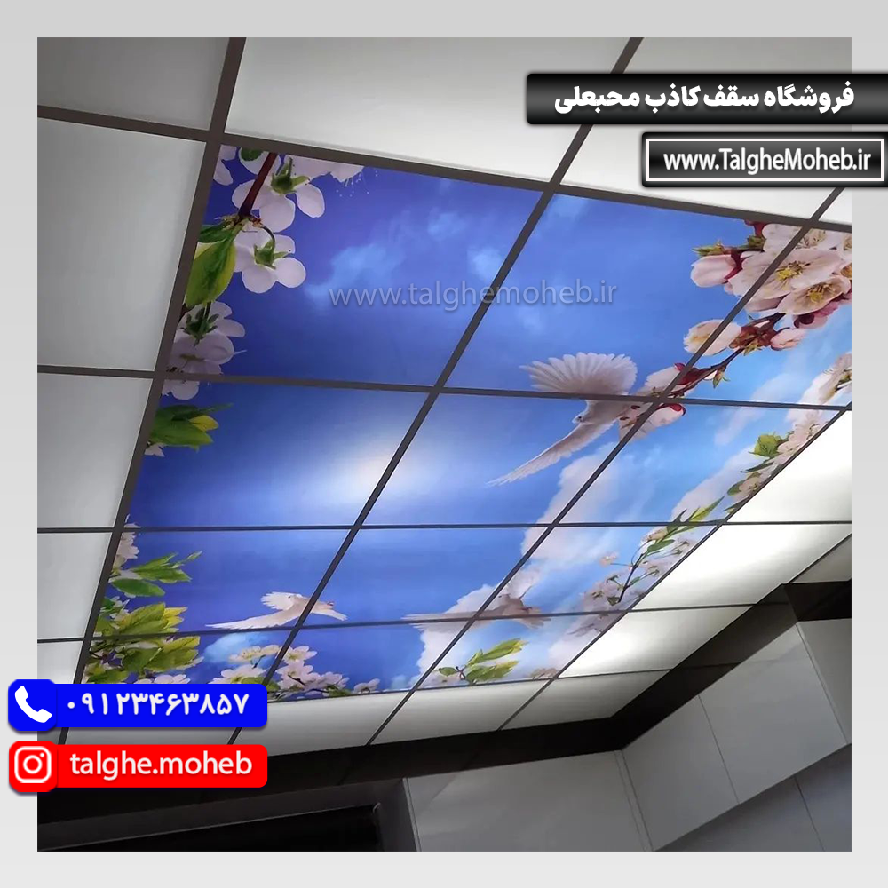 Virtual Sky 16