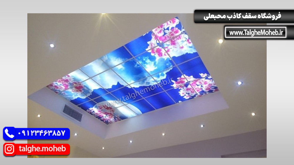 Virtual Sky 2