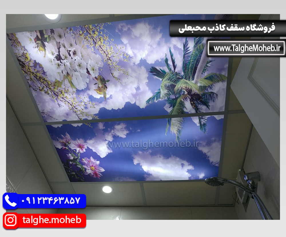 Virtual Sky 6
