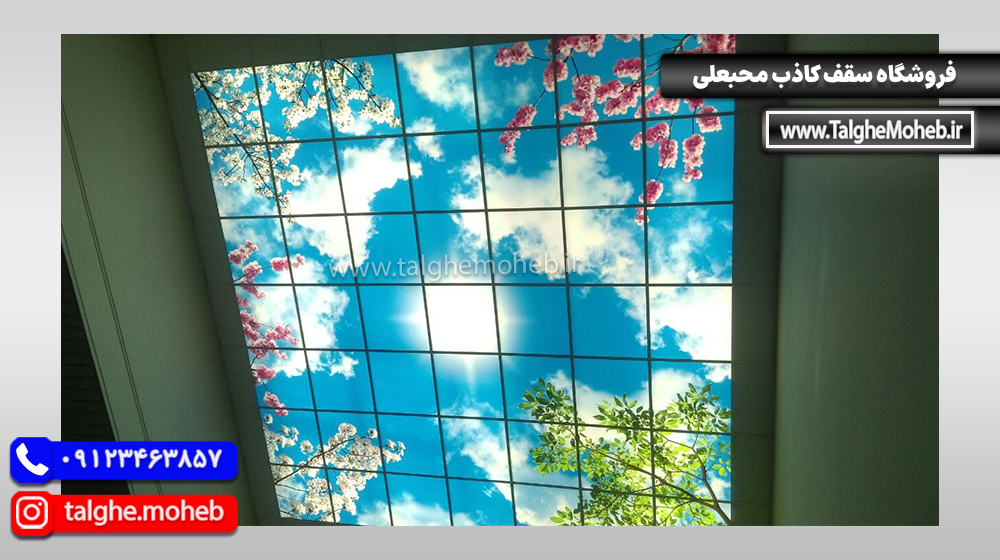 Virtual Sky 7