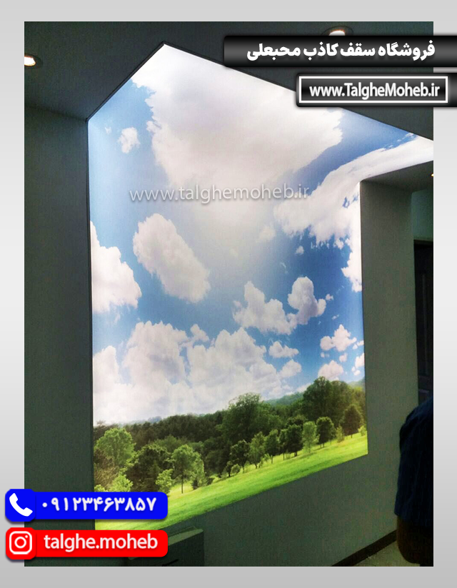 Virtual Sky 8